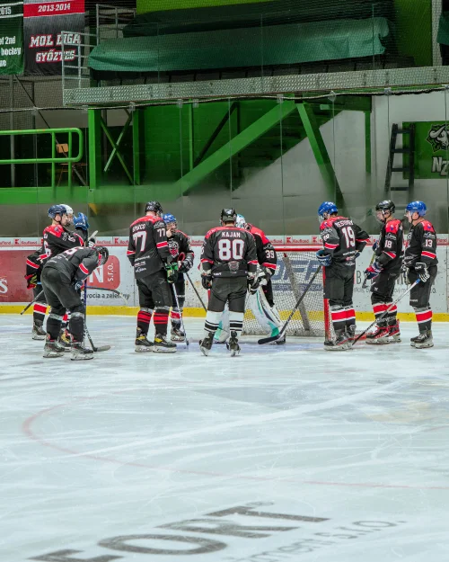 PHL-Semifinále game 2 – fotografia 51
