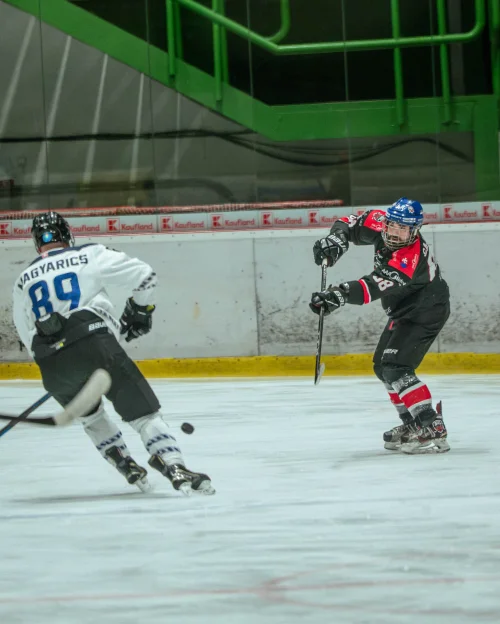 PHL-Semifinále game 2 – fotografia 57
