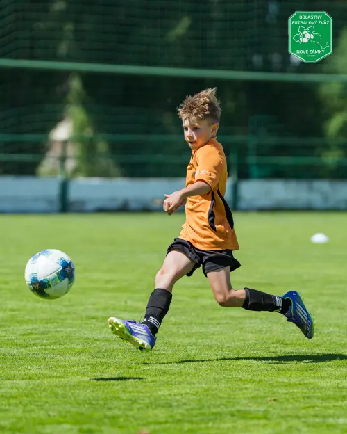U11 Finálový turnaj Dvory nad Žitavou – fotografia 16